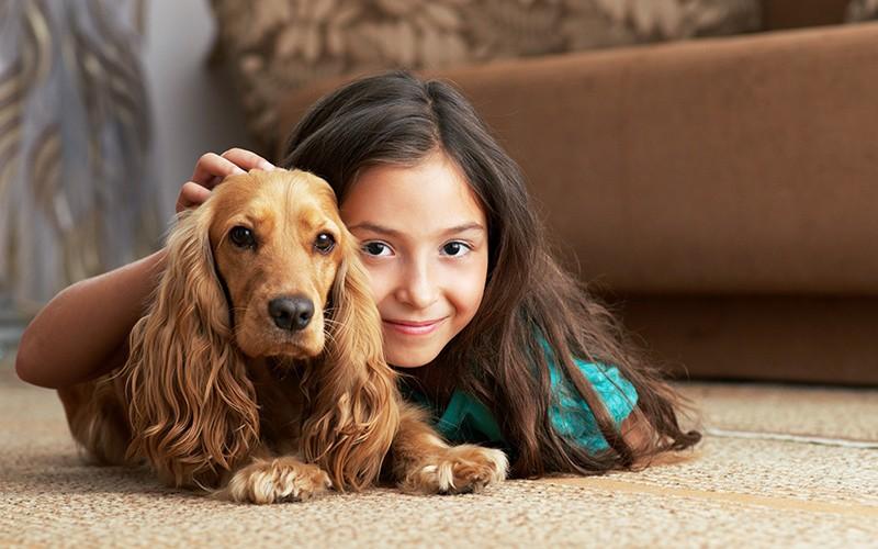 Shaw Floors LifeGuard Waterproof Carpet in Saskatoon